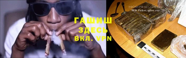 шишки Бородино